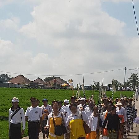 Yogi Homestay Canggu Dış mekan fotoğraf