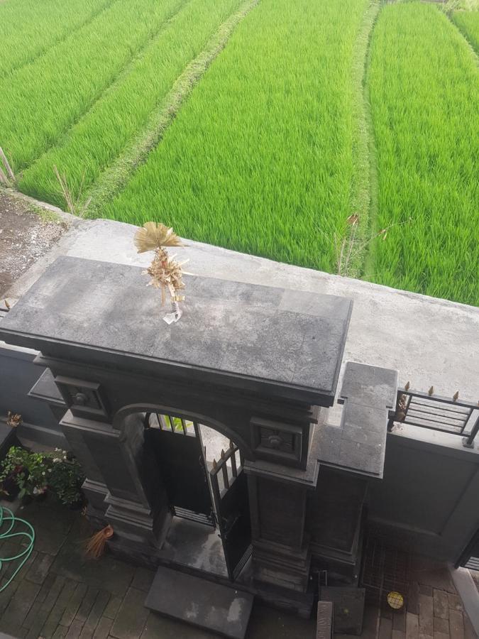 Yogi Homestay Canggu Dış mekan fotoğraf